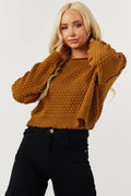 Brown Long Sleeve Cropped Textured Sweater